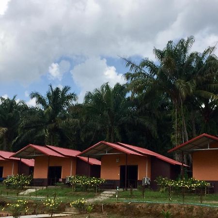 Khao Sok Evergreen House Khao Sok National Park Bagian luar foto