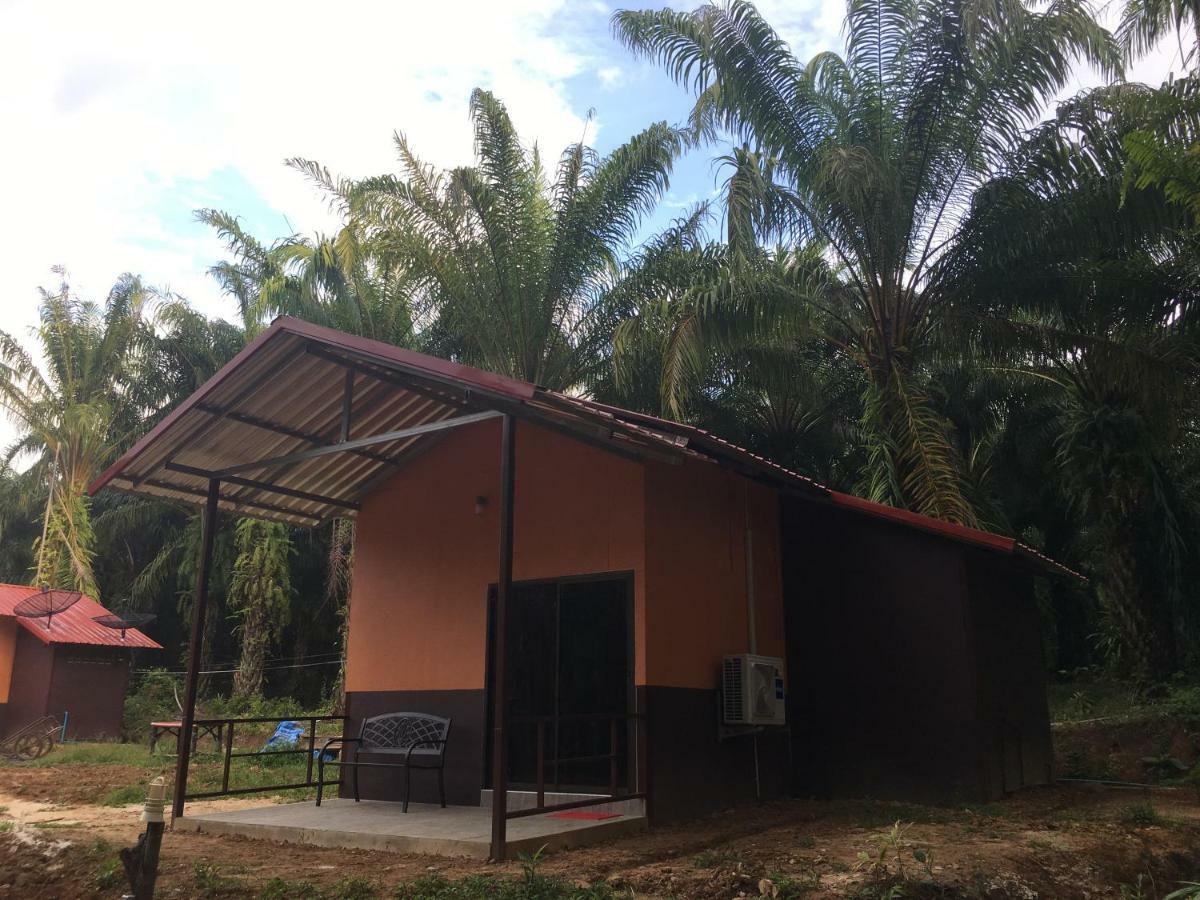 Khao Sok Evergreen House Khao Sok National Park Bagian luar foto