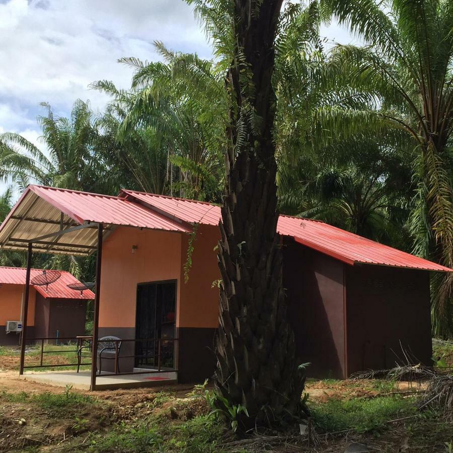 Khao Sok Evergreen House Khao Sok National Park Bagian luar foto