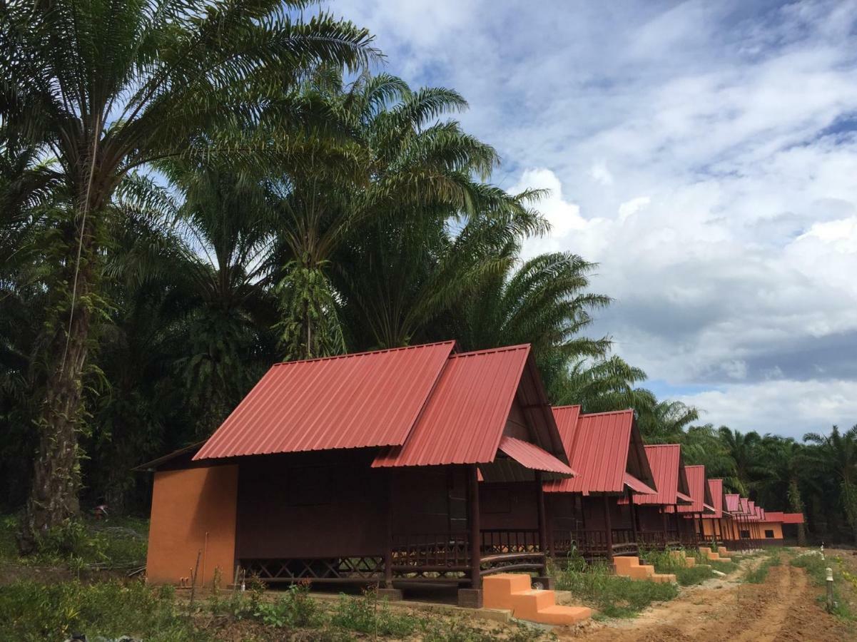 Khao Sok Evergreen House Khao Sok National Park Bagian luar foto