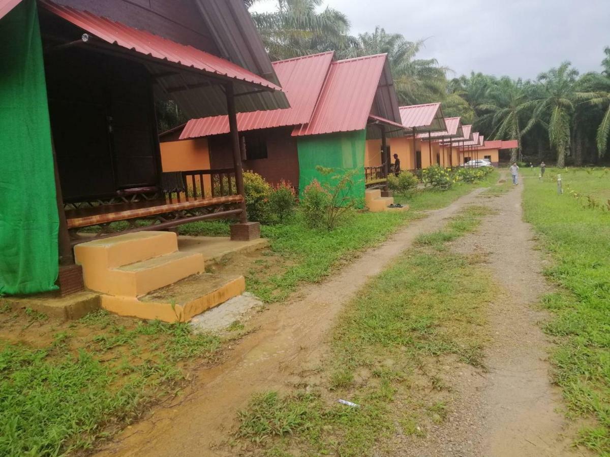 Khao Sok Evergreen House Khao Sok National Park Bagian luar foto