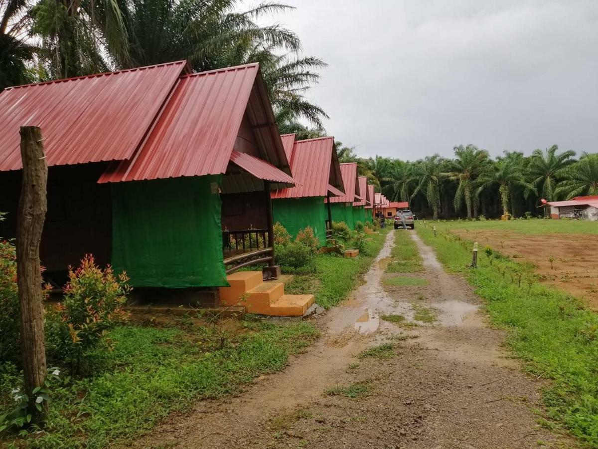 Khao Sok Evergreen House Khao Sok National Park Bagian luar foto