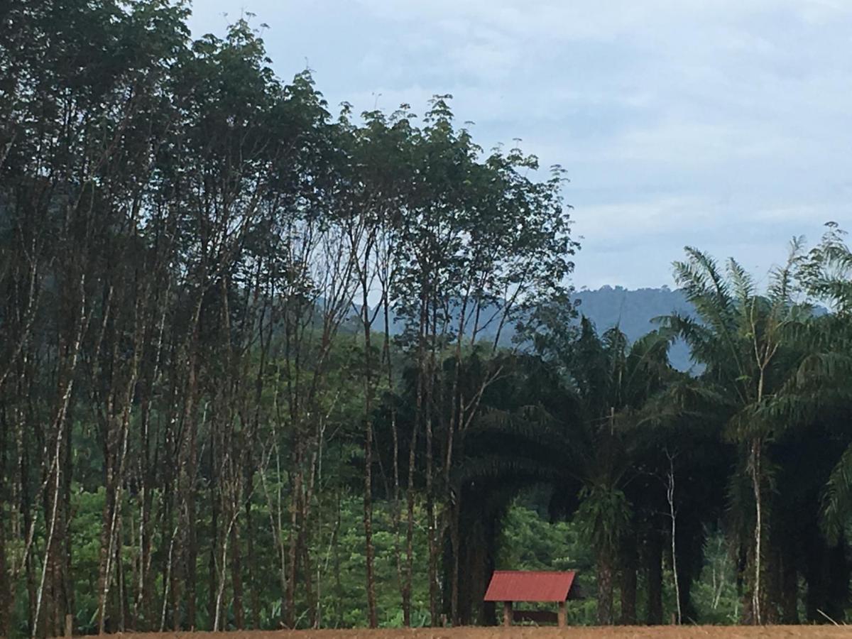 Khao Sok Evergreen House Khao Sok National Park Bagian luar foto