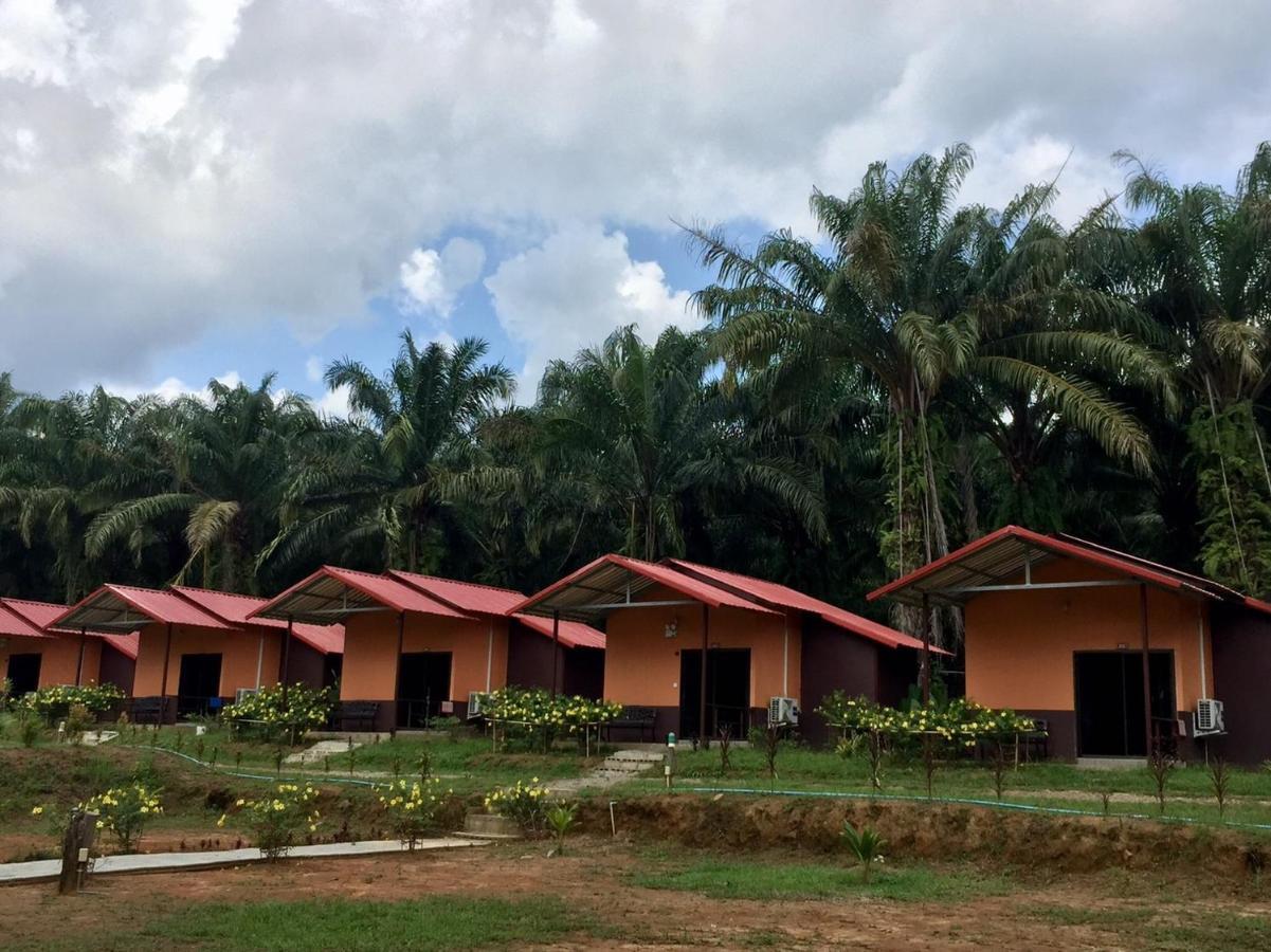 Khao Sok Evergreen House Khao Sok National Park Bagian luar foto