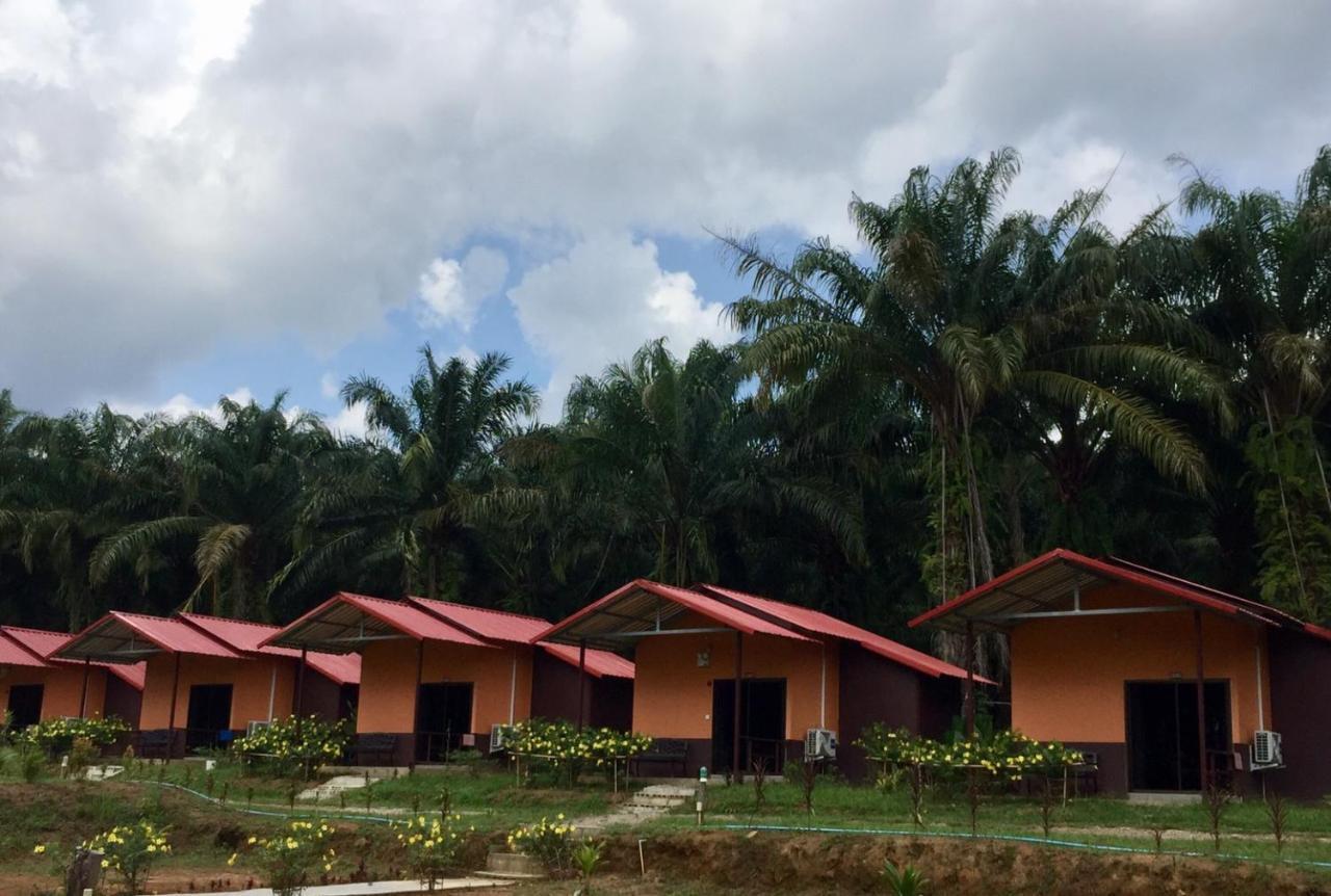 Khao Sok Evergreen House Khao Sok National Park Bagian luar foto